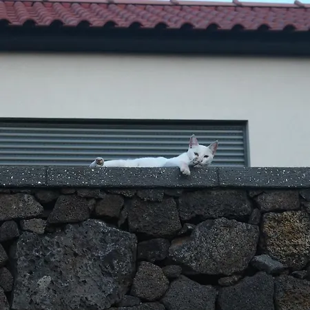 Holiday home Paim *