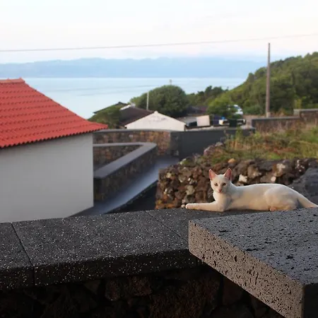 Holiday home Paim *