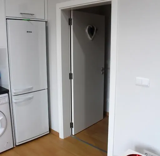 Casa vacanze Paim Santo Antonio (Pico Island)