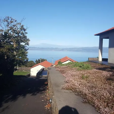 Paim Santo Antonio (Pico Island)