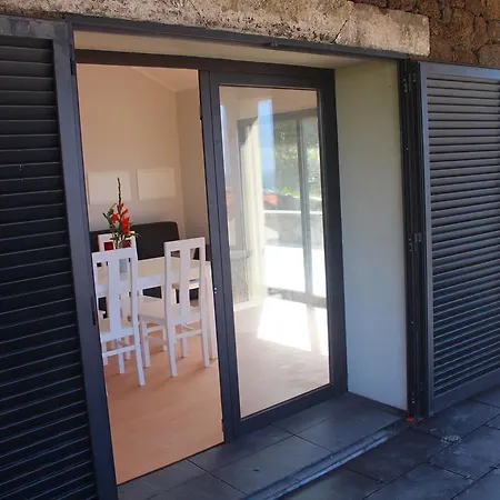 Paim Santo Antonio (Pico Island)