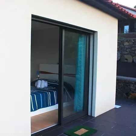 Paim Santo Antonio (Pico Island)