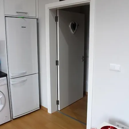 펜션 Paim Santo Antonio (Pico Island)