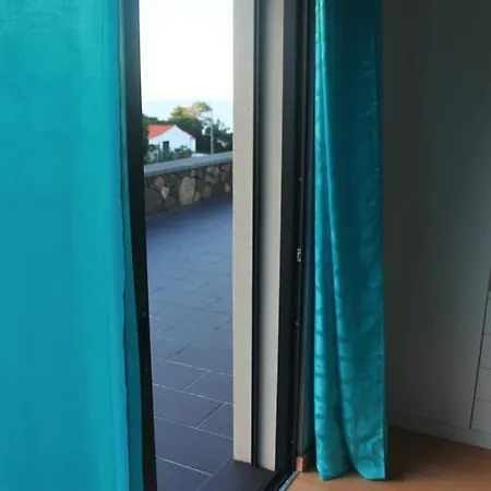 Paim Santo Antonio (Pico Island)