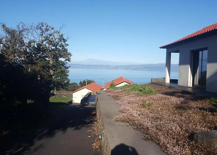 Paim Santo Antonio (Pico Island)