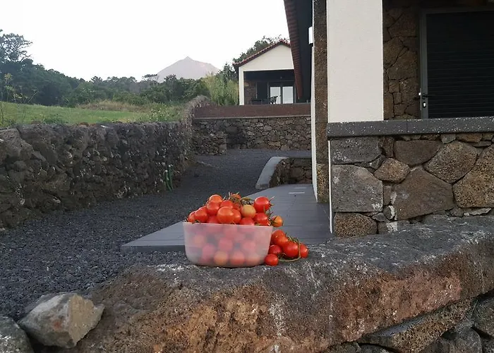 Paim Santo Antonio (Pico Island)