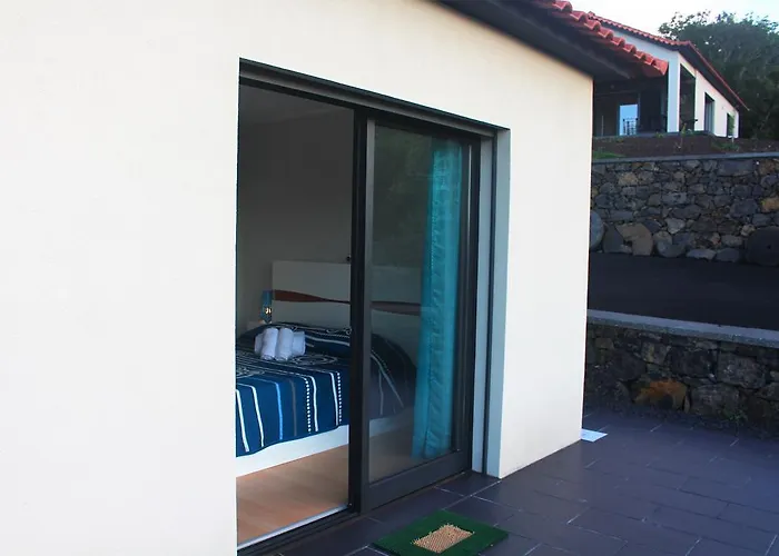 Paim Santo Antonio (Pico Island)