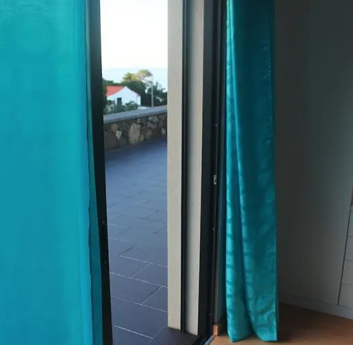 Paim Santo Antonio (Pico Island)